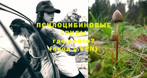 кокс Балабаново